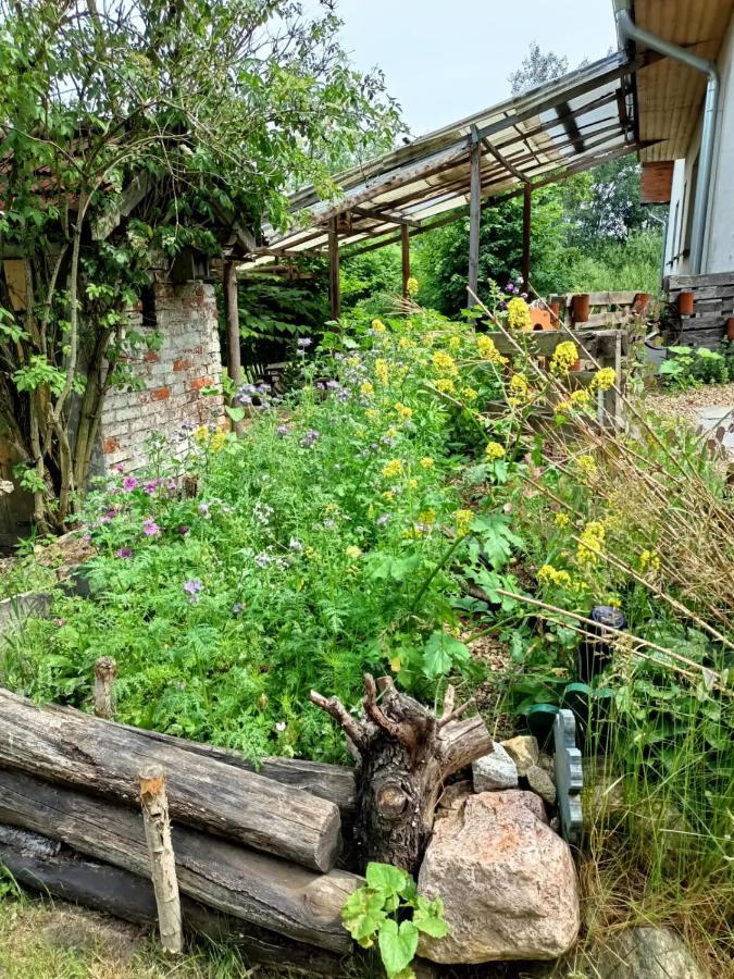 Biohof Am Turawa-See Szczedrzyk Екстериор снимка